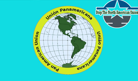 Pan – American Union, Organisasi Politik Ekonomi Internasional